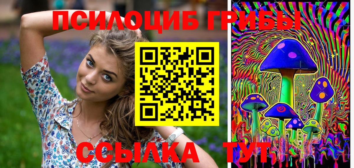 Галлюциногенные грибы MAGIC MUSHROOMS Шадринск