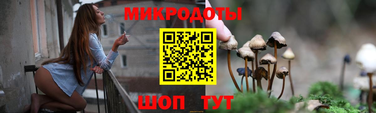 Псилоцибиновые грибы мухоморы  продажа наркотиков  Шадринск  Вход с VPN  Галлюциногенные грибы MAGIC MUSHROOMS 
